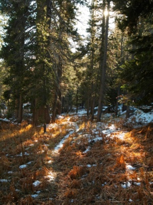 A little less snow and beautiful autumn colors winter hiking