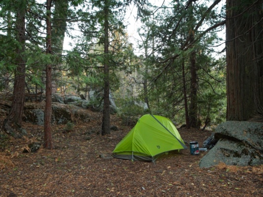 My tent in a grove of cedar trees backpacking camp