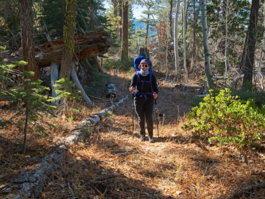 After lots of steep uphill, we're on some flat ground! backpacking