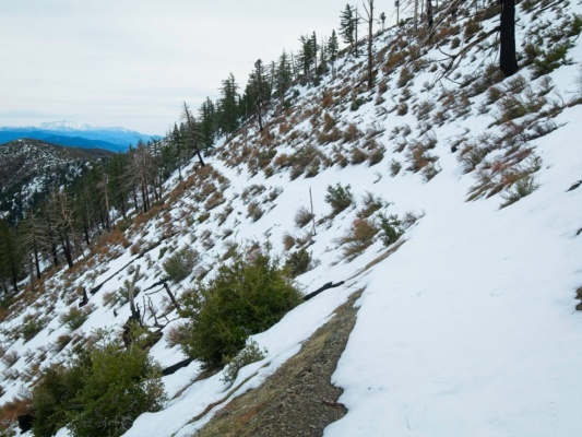 The snow-covered PCT contours across the north face of the mountain pacific crest trail