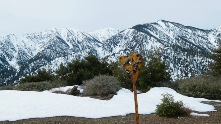 A slice of swiss cheese on the summit ridge gobbler's knob
