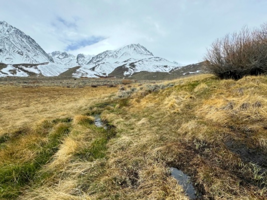 Birch Mountain and McMurry Meadows birch mountain