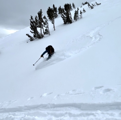 Maddie slicing through the soft snow birch mountain