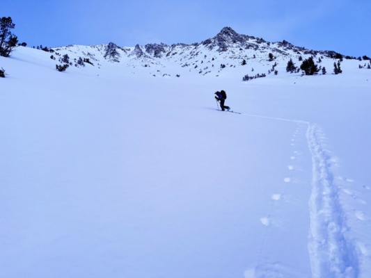Maddie breaks trail birch mountain