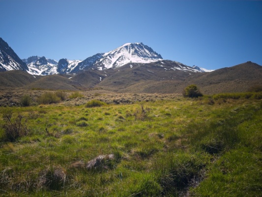 Birch Mountain from McMurry Meadows birch mountain