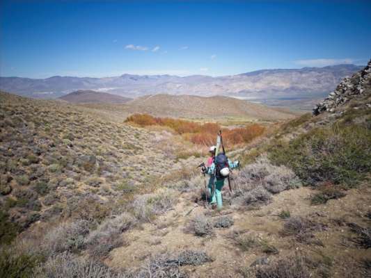 There's plenty of bushwhacking on the way down too birch mountain ski mountaineering
