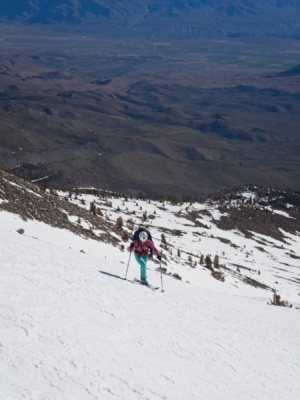 Skinning up the ridge birch mountain ski mountaineering
