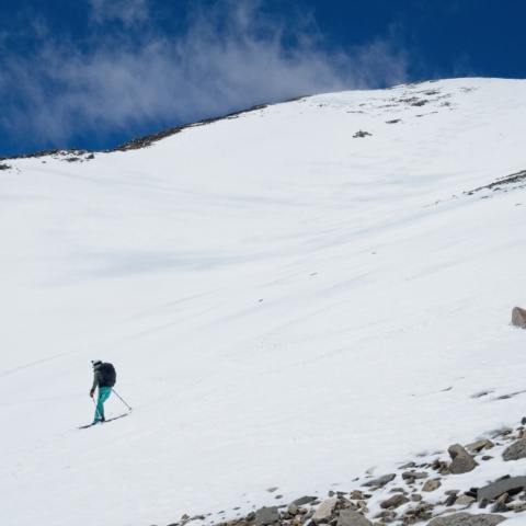 Look at all those beautiful turns! birch mountain ski mountaineering