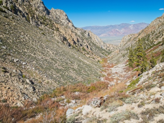 Looking down the canyon toward Owen's Valley george creek canyon