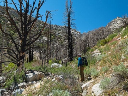 The 2018 Georges fire left the lower canyon without much shade george creek canyon