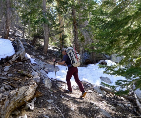 We start to encounter more frequent snow patches as we near camp. Photo credit: Craig george creek