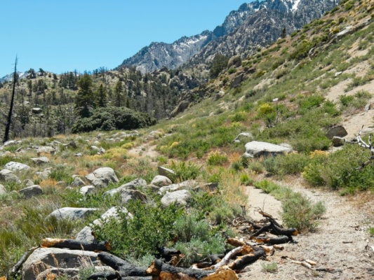 The road leads into the canyon george creek