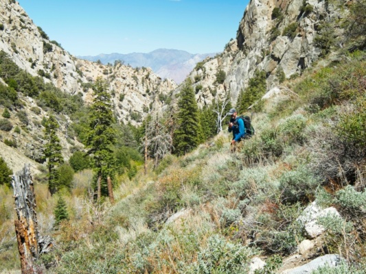 Craig hikes along the barely-visible use trail george creek trail