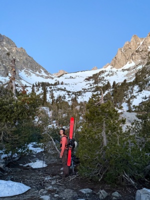 Andrew W. poses at the top of the trees; we can start skinning soon! ski tour