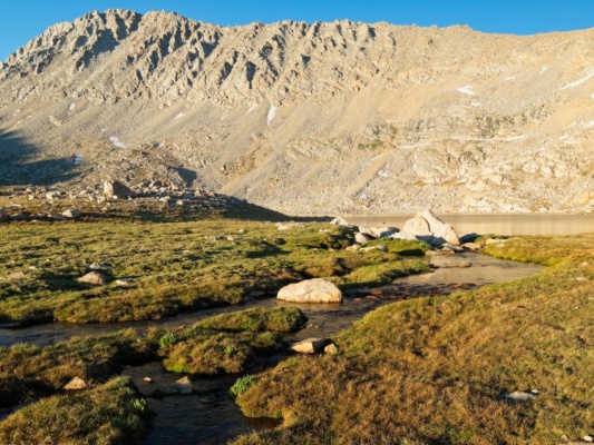 I wander around in a mosquito net during the golden hour to take some pictures caltech peak