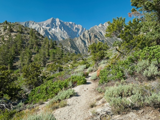 I get a great view of Mount Williamson once I reach the top of the switchbacks mount williamson
