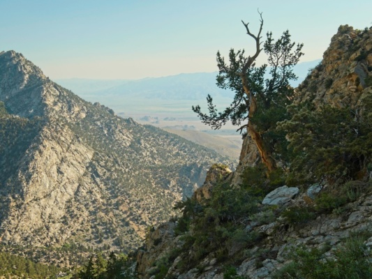 Looking out at the cinder cones in Owens Valley from the trail owens valley