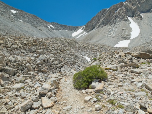 There's not much greenery left below Shepherd's Pass, just rocks shepherds pass