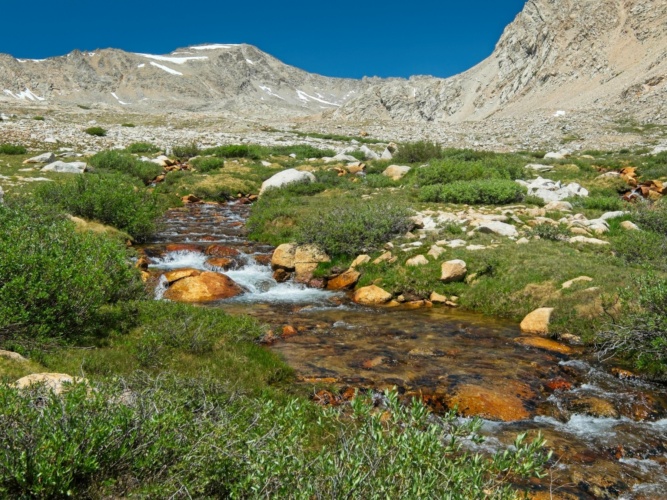 One of the larger tributaries of Tyndall Creek tyndall creek