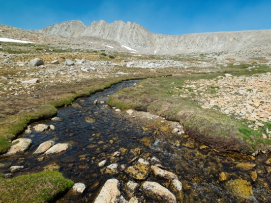 One of the many alpine tributaries of Tyndall Creek tyndall creek
