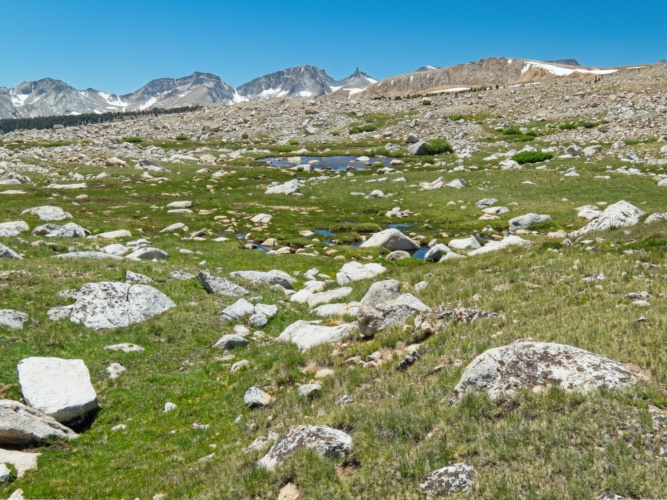 And just a short while later, a combination of the rocks and meadows rocky meadow