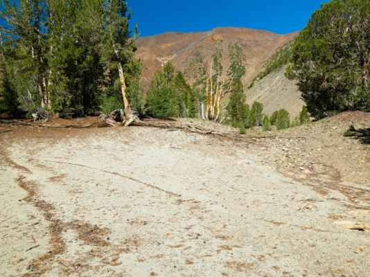 I'm aiming for the chute on the right side of the ridge bloody mountain