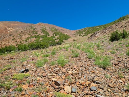 Heading up the chute: a loose pile of slate bloody mountain