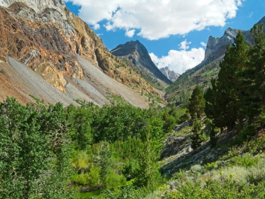 A look up Convict Canyon toward Red Slate Mountain convict canyon