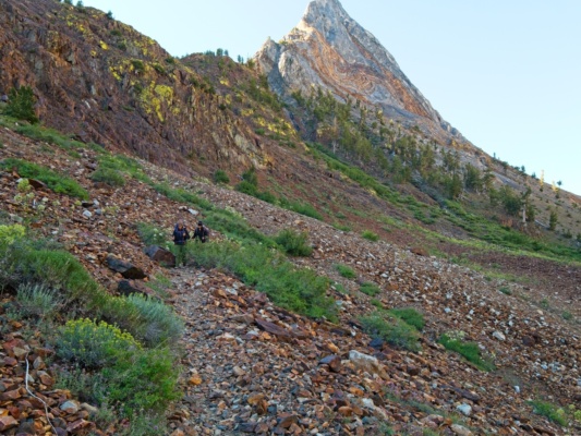 Vibrant, neon-green lichen on the slate really catches my eye this morning convict canyon
