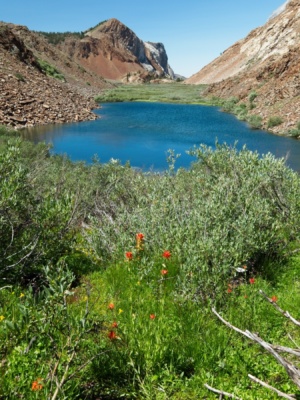 A small lake nestled between talus piles in the meadow mountain meadow