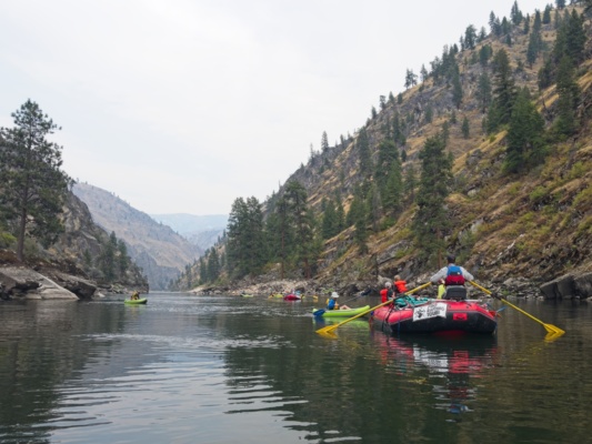Another calm section of river main salmon river rafting