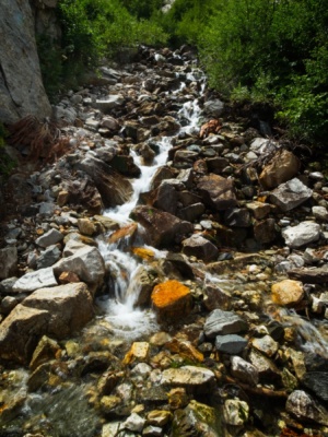 One of the pine creek tributaries pine creek tributary