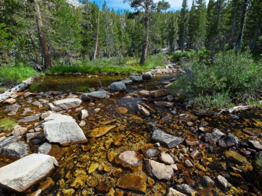 A wide creek crossing between Honeymoon and Upper Pine Lake creek crossing