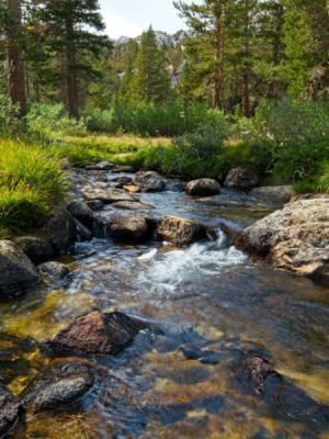 A creek flowing down from Granite Park italy pass
