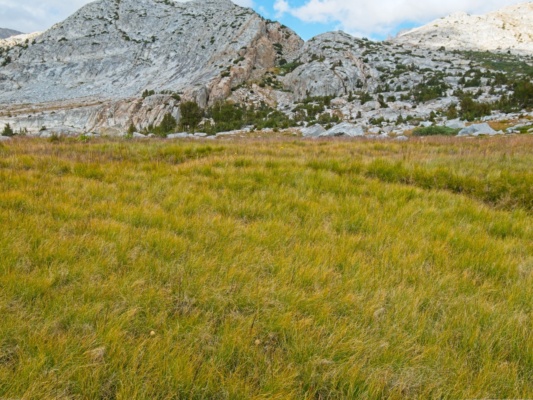 After hours of walking on rocks I really appreciate a few minutes on the soft grass soft grass