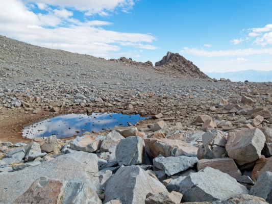 A little tarn below Lamarck Col lamarck col