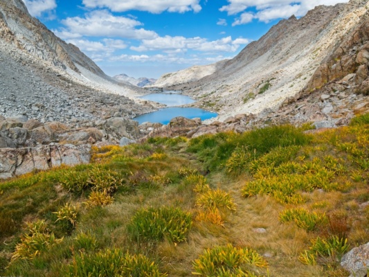 A little fall color is starting to appear darwin bench