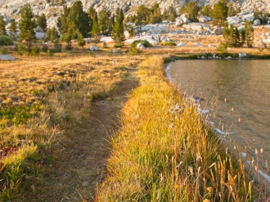 Golden light at Evolution Lake evolution lake