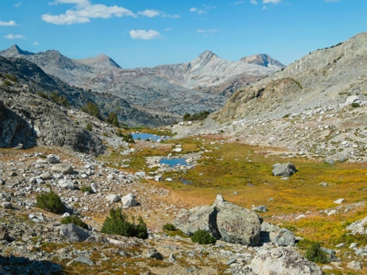 Just below Mount McGee we walk through some beautiful little meadows mount mcgee