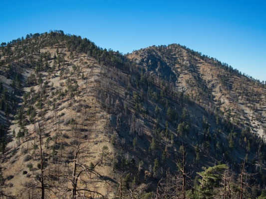 Will Thrall Peak and Pleasant View Ridge from Pallett Mountain will thrall pleasant view