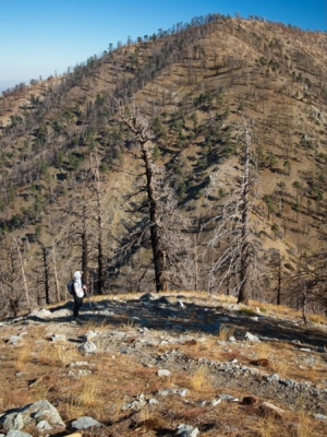 Looking back at Pallett Mountain from the slopes of Will Thrall Peak pallett mountain