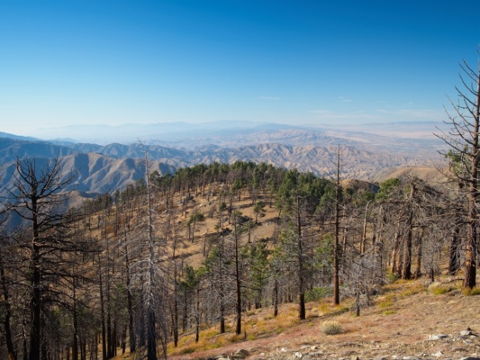 A pleasant view from Pleasant View Ridge pleasant view ridge