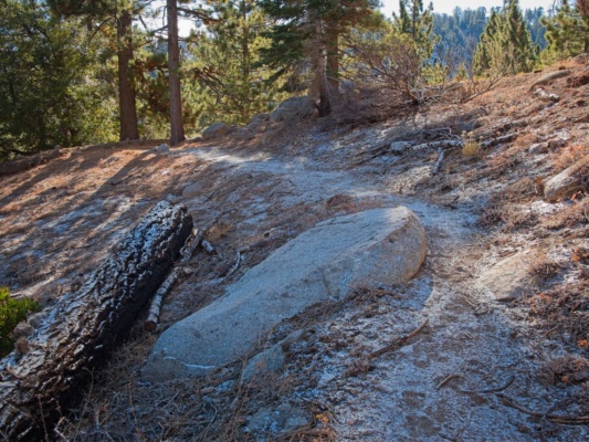 A dusting of snow on the trail!