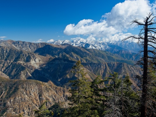 Snow-capped Mount Baldy (San Antonio)