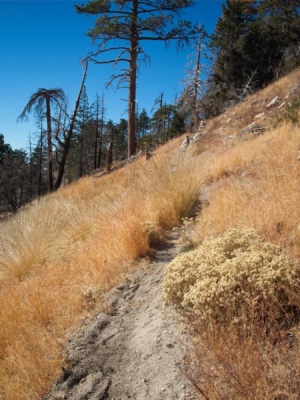 The trail along the south face of Waterman Mountain