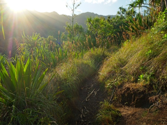 The sun peeks over the ridge as we hike up switchbacks from Hanakapiai Beach kalalau trail