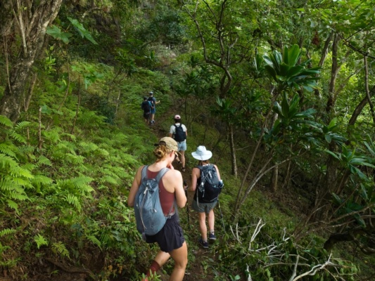 Everything is so very green! kalalau trail