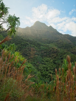 One of the many peaks towering over the Na Pali Coast kalalau trail