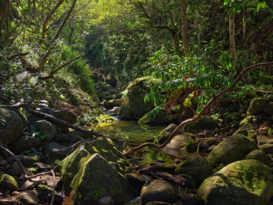 A peaceful little spot on the trail kalalau trail