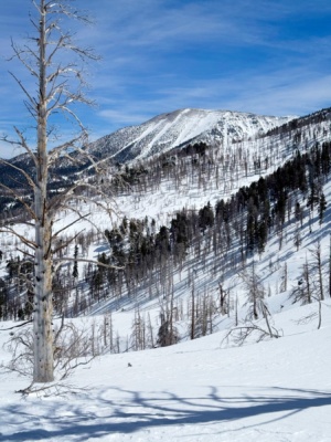 San Gorgonio with its wind-scoured summit alto diablo